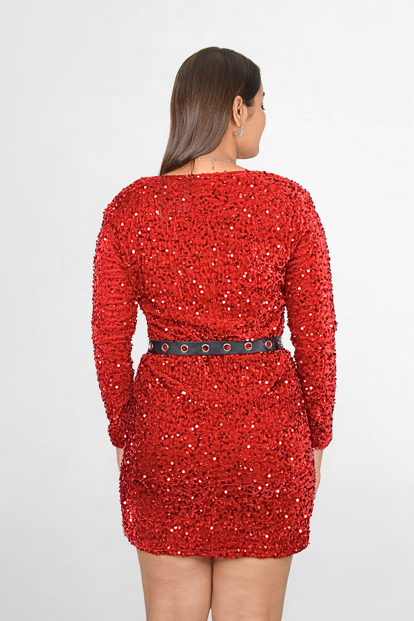 Purse Belt Dress