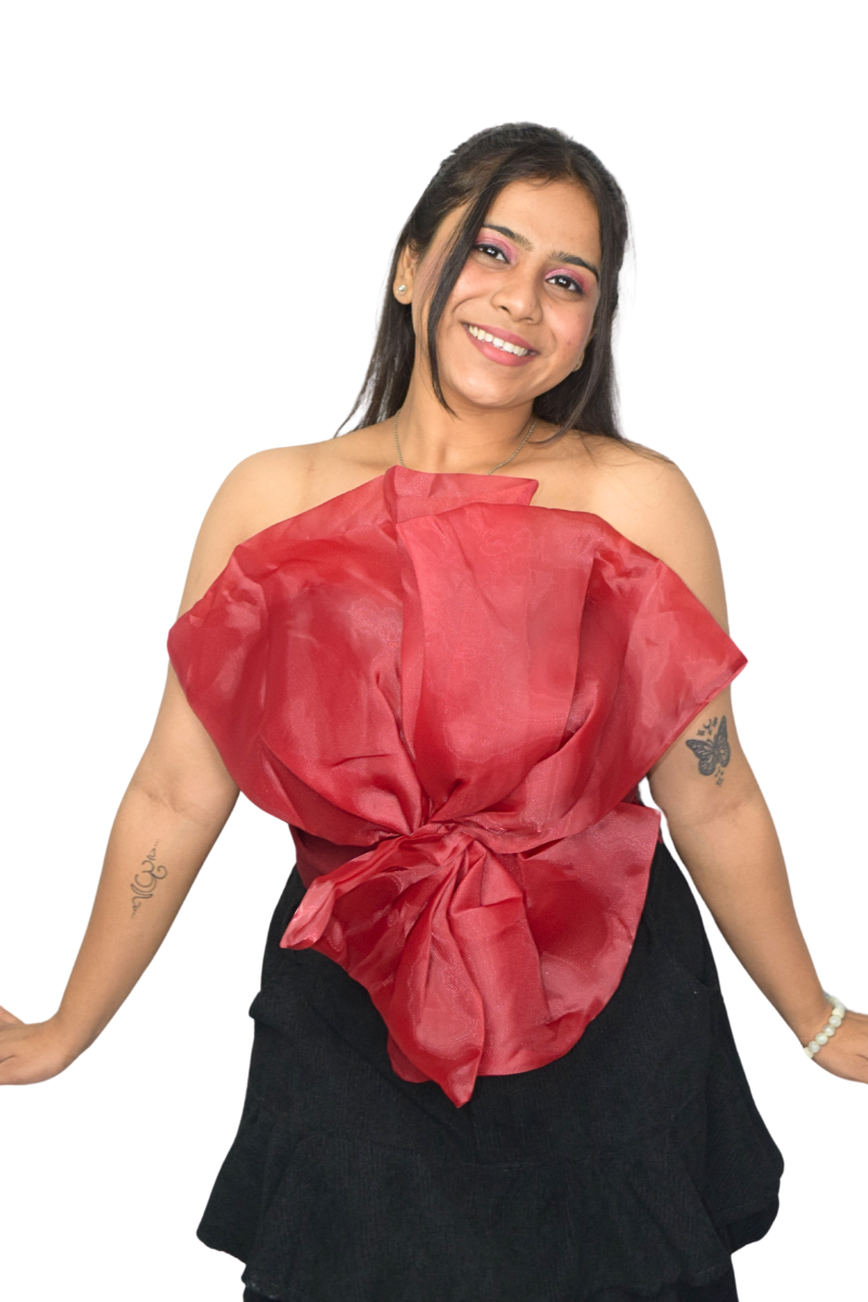 Organze Tube Top
