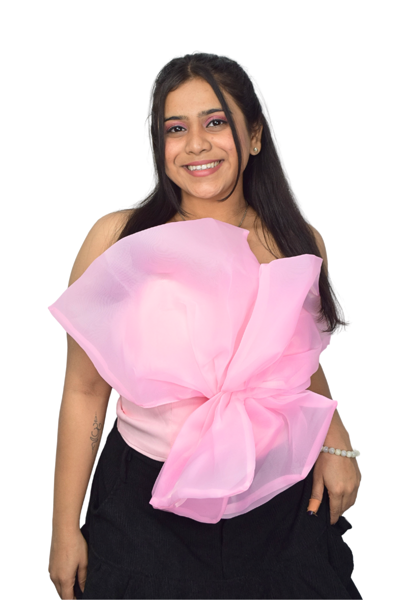 Organze Tube Top