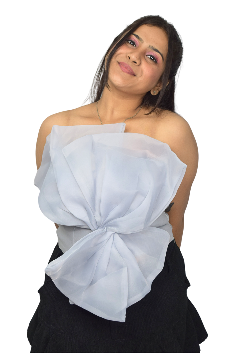 Organze Tube Top