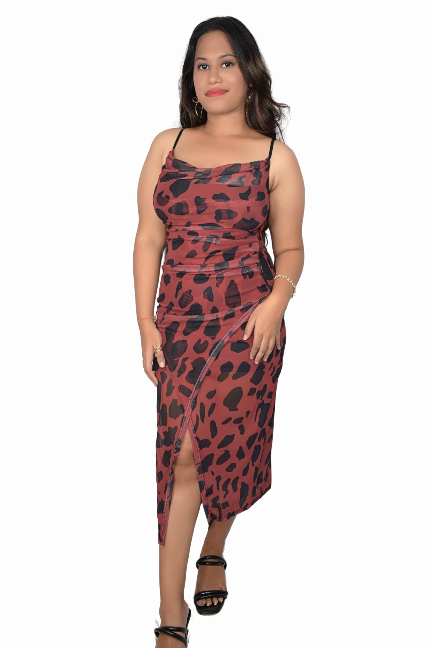 Animal 2PC