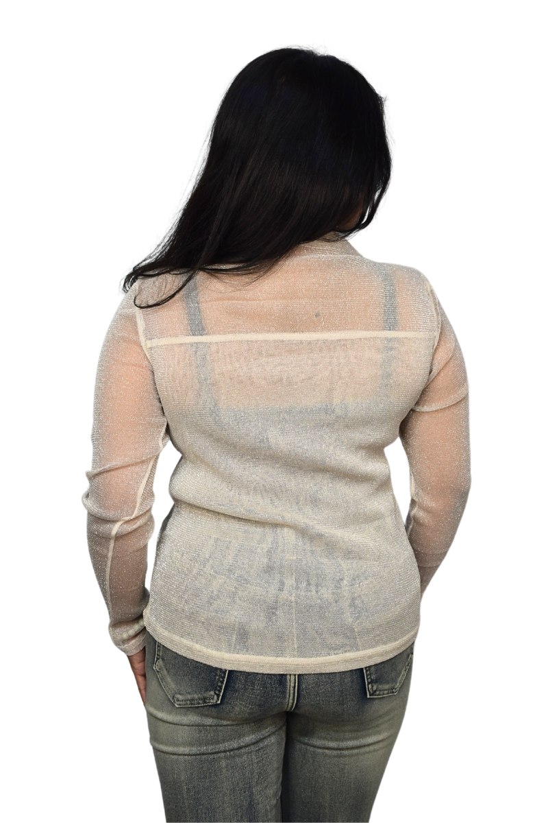 Sheer Elegance Top