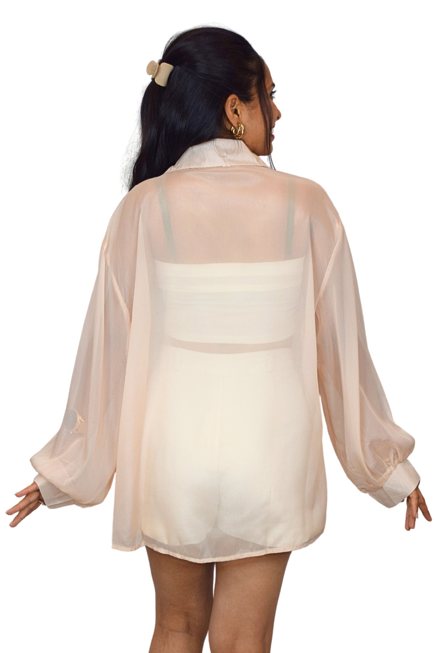 Sheer Shirt