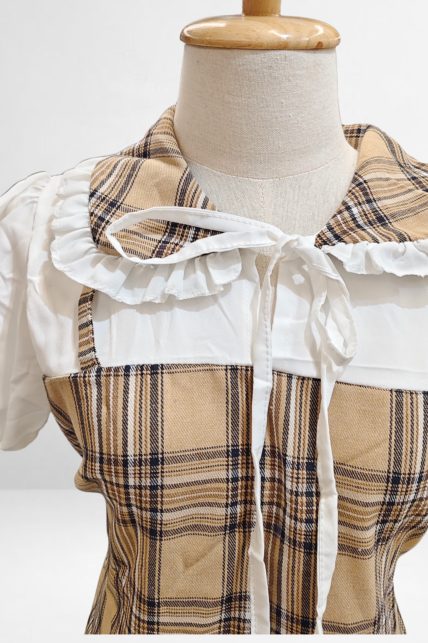 Plaid Collar Dress