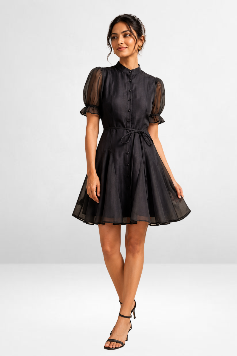 Fit & Flare Mini Dress