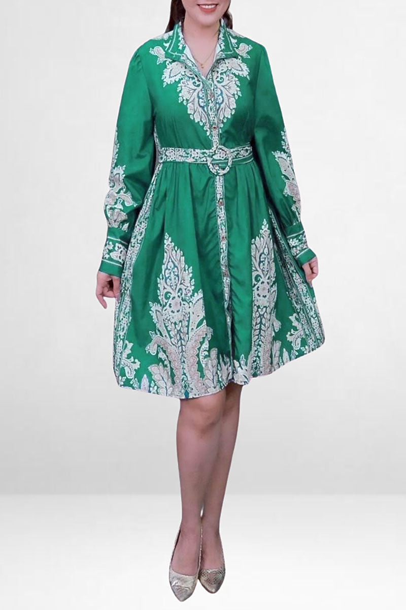 Nakshi Printed Dress