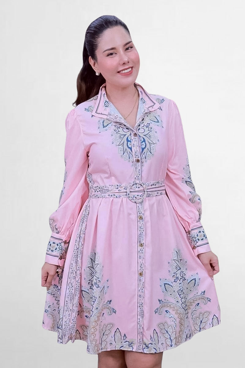 Nakshi Printed Dress