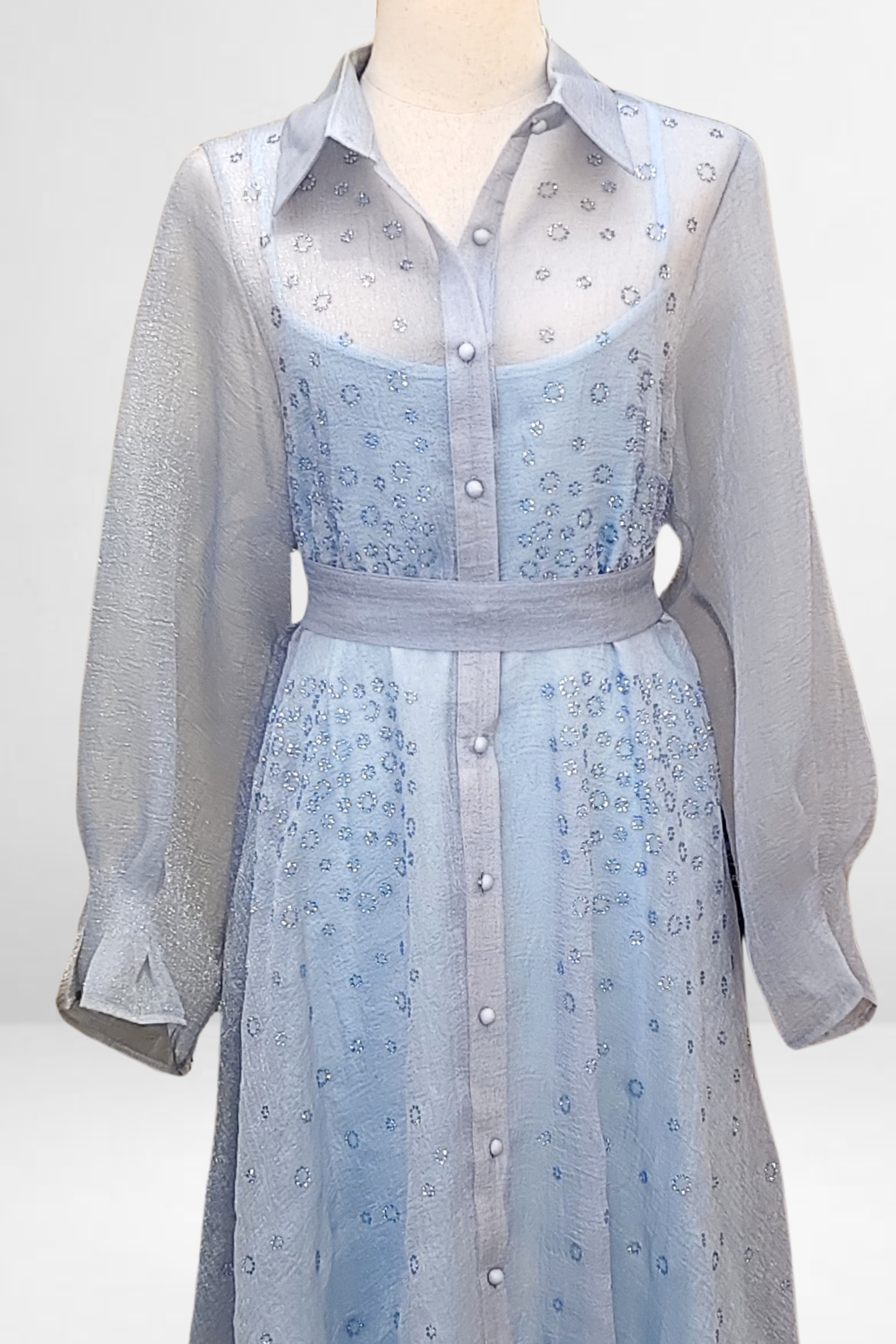 Embellished Organza Dress