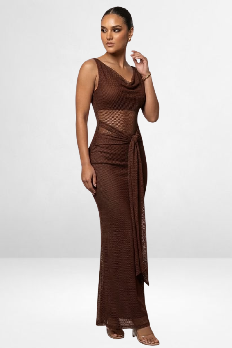 Mesh Evening Maxi Dress